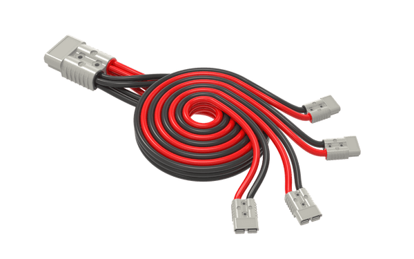 (1) BB175 to (4) BB50 Parallel Cable